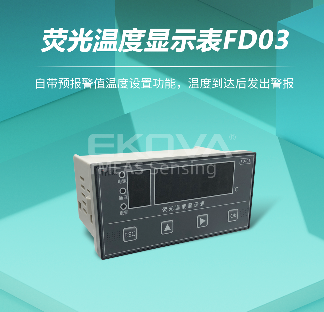 熒光溫度顯示表FD03