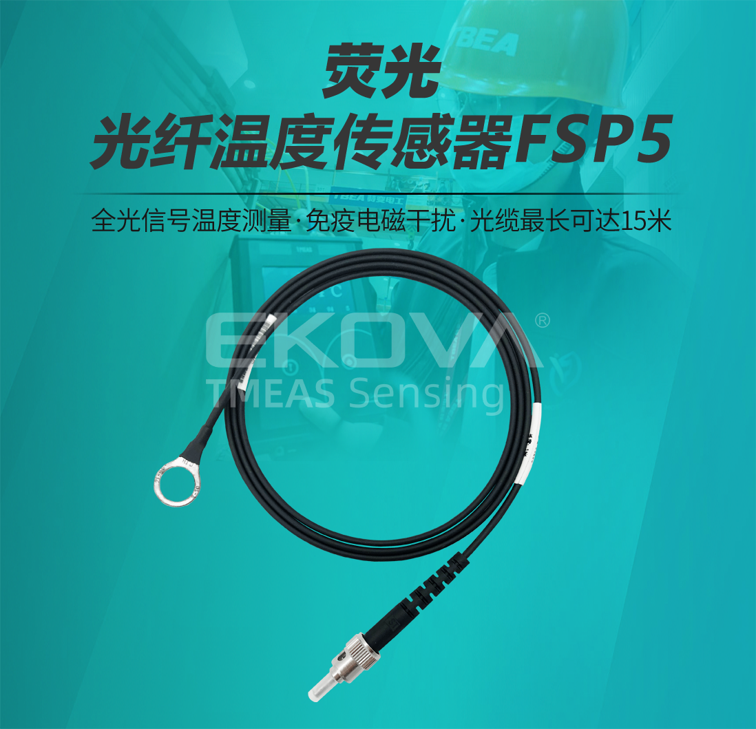 熒光光纖溫度傳感器FSP5